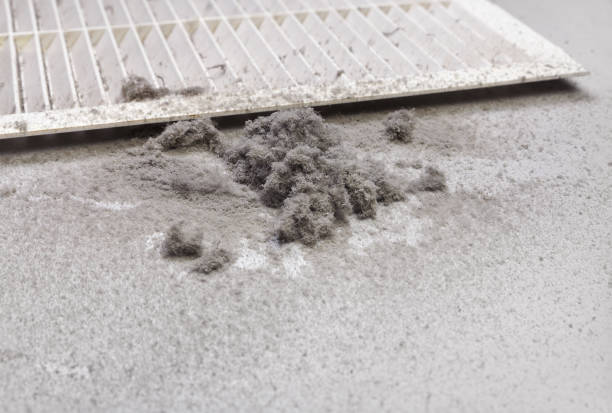 Best Emergency Air Duct Cleaning  in Alum Creek, WV