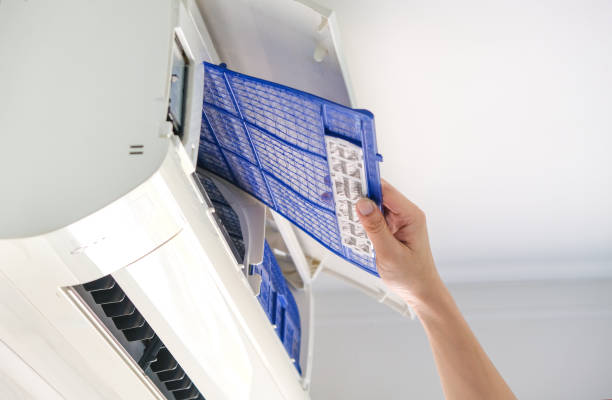 Best Local Air Duct Cleaning Services  in Alum Creek, WV
