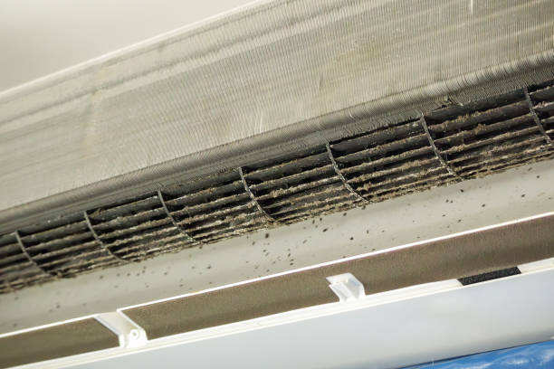 Best Affordable Duct Cleaning Services  in Alum Creek, WV